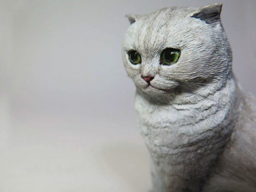 Реалистичные миниатюрные статуи кошек