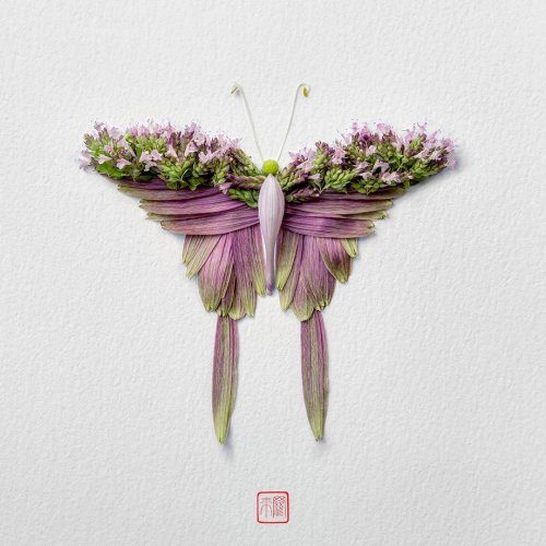 Цветочные бабочки от художника Раку Иноуэ