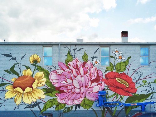 Красочные цветочные сады на стенах домов