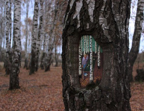 Картины на стволах деревьев