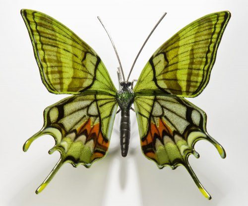 Стеклянные бабочки от Лауры Харт