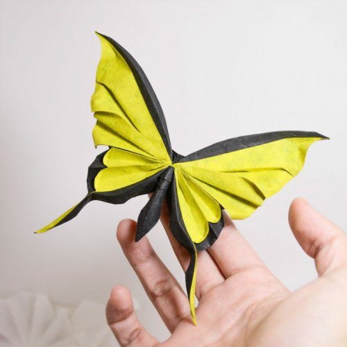 Впечатляющие оригами, созданные в технике мокрого складывания