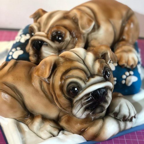 3D-торты от Молли Роббинс