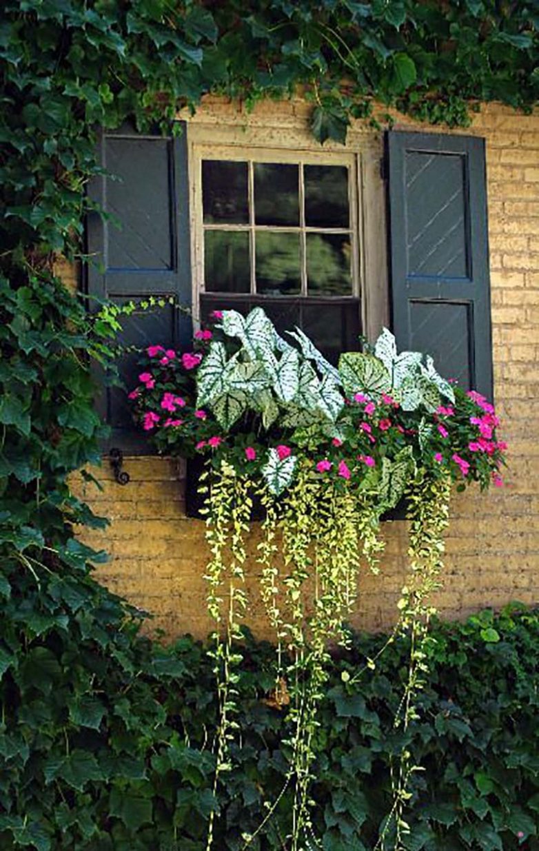 Цветущий сад за окном