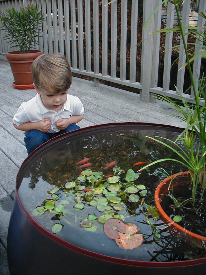 Удивительные идеи мини-пруда для небольшого сада или террасы