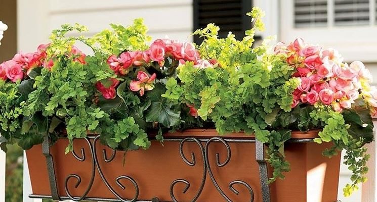 Как украсить балкон цветочными кашпо