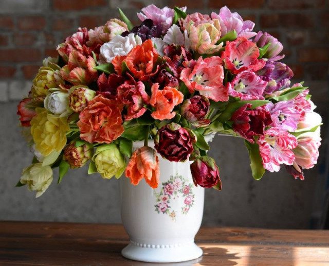 Невероятно реалистичные фарфоровые цветы от Олеси Галущенко