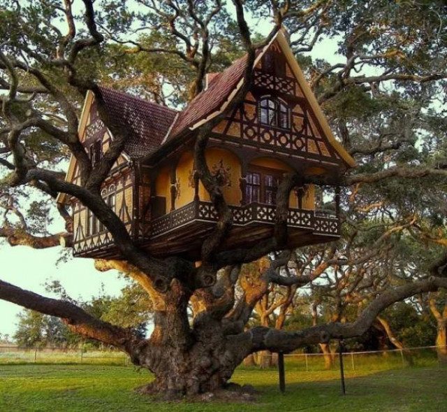 Дом на дереве