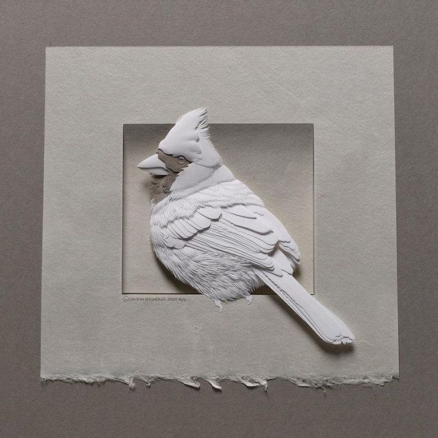 Бумажные скульптуры от Келвина Николлса