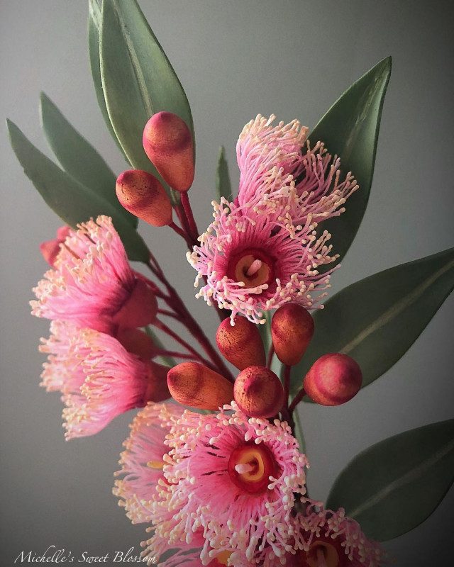 Сахарные цветы от Мишель Нгуен