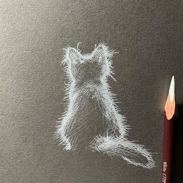 Неревроятные рисунки белым карандашом на чёрной бумаге