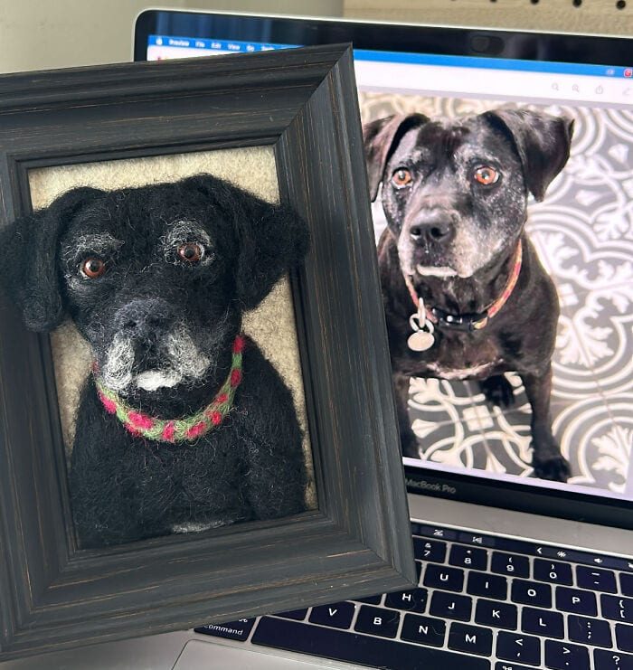Трёхмерные портреты собак из шерсти