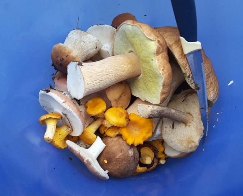 Картошка с грибами и мясом в казане
