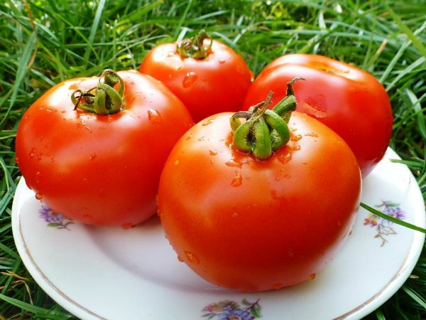 Простой способ сохранить помидоры свежими до Нового года