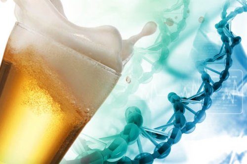 10 малоизвестных фактов про алкоголь