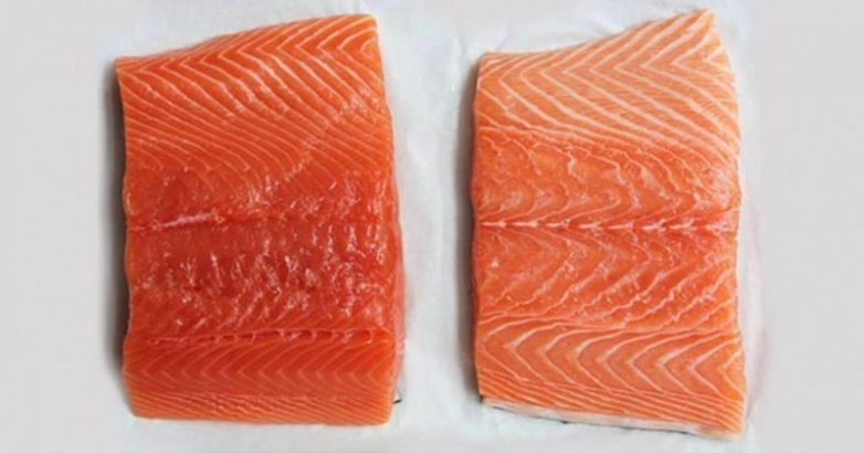 Как правильно выбрать лосося?