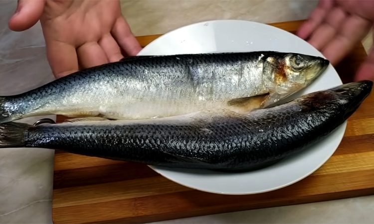 Как превратить простую рыбу в деликатес северным способом