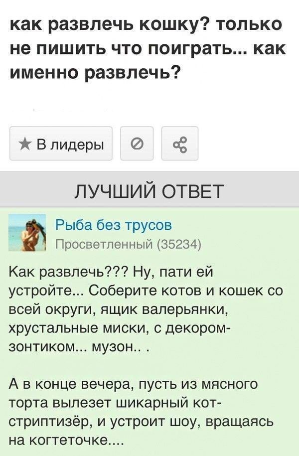 Приколы и маразмы с «Ответы Mail.ru»