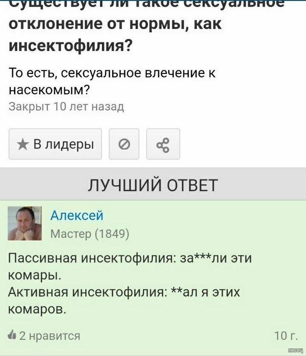 Убойные приколы с сайта «Ответы Mail.ru»