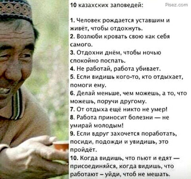 25 лучших приколов из Казахстана