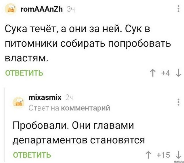 100% прикольчики из социальных сетей