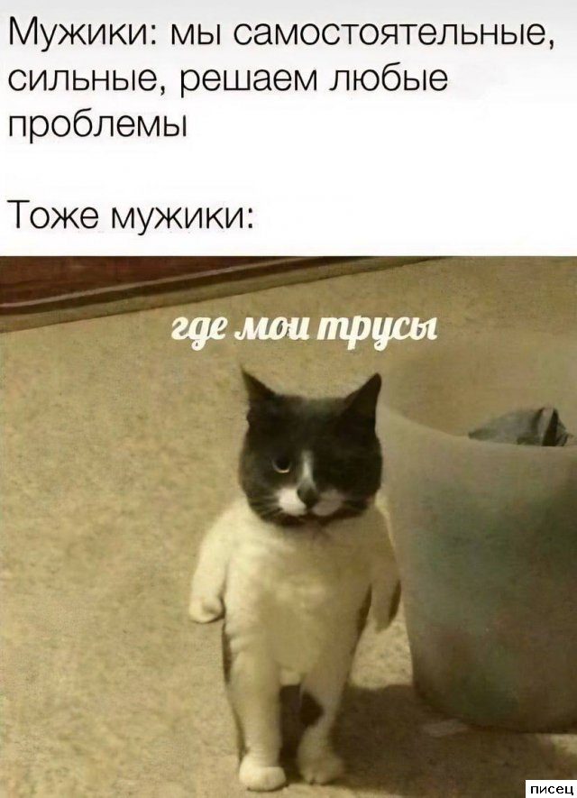 Любимые мужские приколы