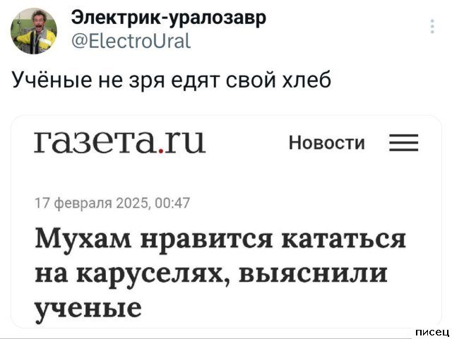 25 приколов Марта из социальных сетей. Голосуйте!