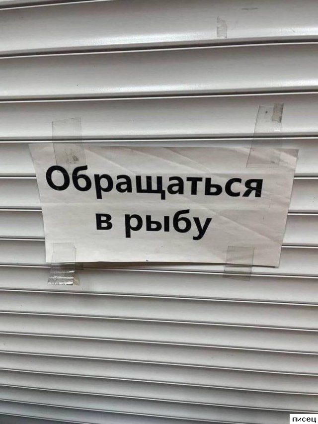 Кратко, чётко и понятно. У меня сейчас будет разрыв живота!