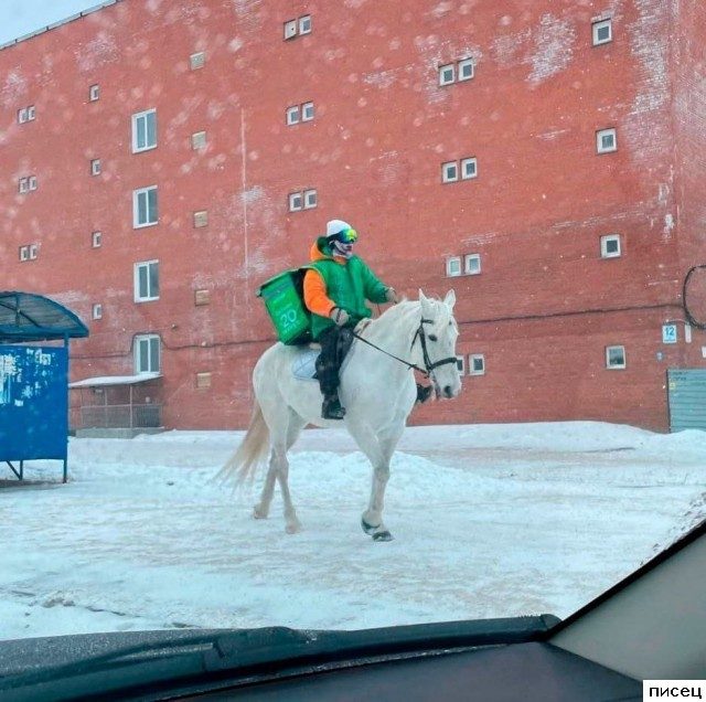 Русские приколы. Кайф!