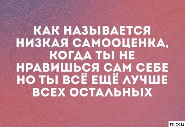 Актуальные цитаты дня. Офигенно!