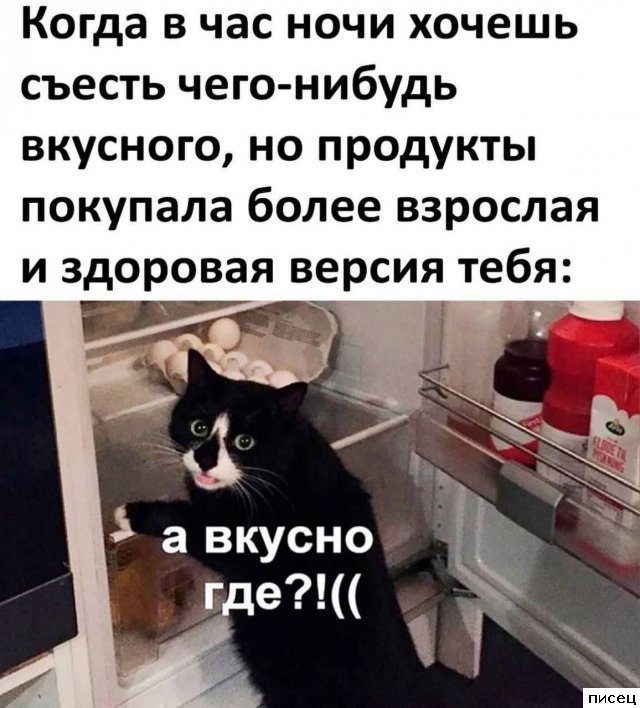 18 приколов в стиле «Когда...». Классика жанра!