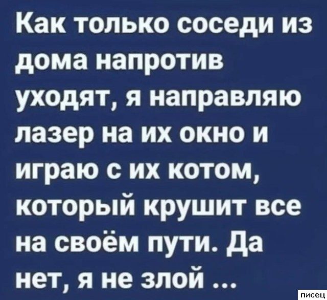 Актуальные цитаты дня. Шикардос!