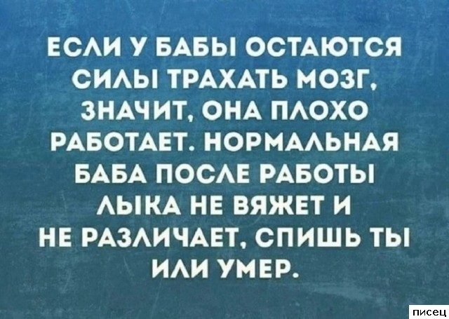 Актуальные цитаты дня. Шикардос!