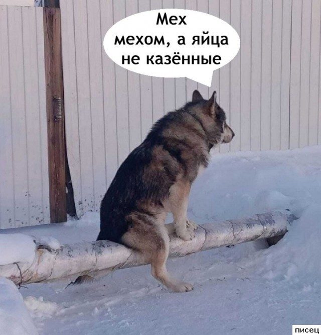 Все приколы Марта. Шикардятина!