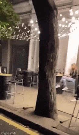 Забавные анимированные гифки для хорошего настроения