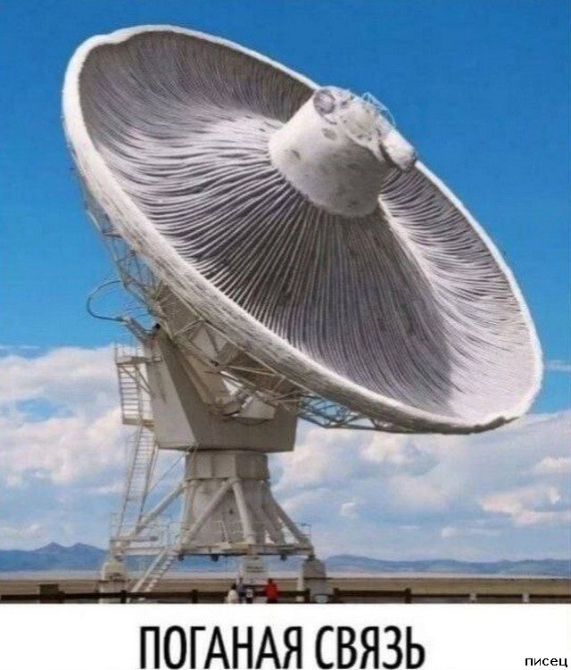 Случаи из жизни, которые лучше один раз увидеть