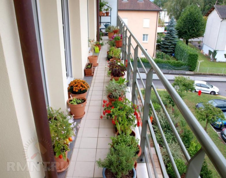 Сад на балконе: идеи обустройства