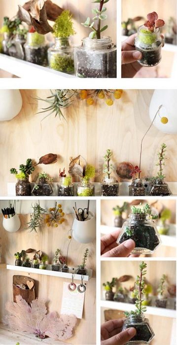 Замечательные идеи для создания мини-сада у вас дома