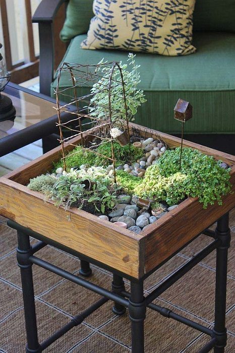 Замечательные идеи для создания мини-сада у вас дома
