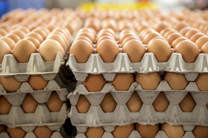Всё, что нужно знать про яйца