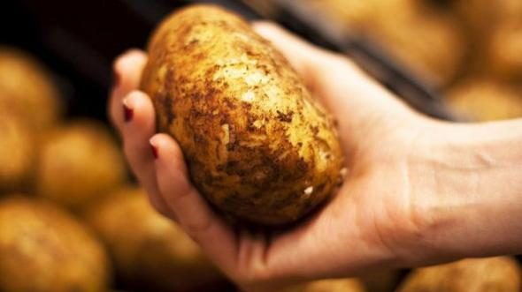 Что следует знать о картошке каждому