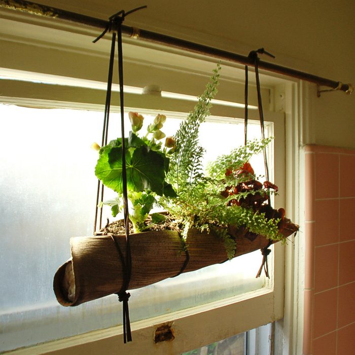 Для вдохновения: идеи по созданию живого сада в квартире