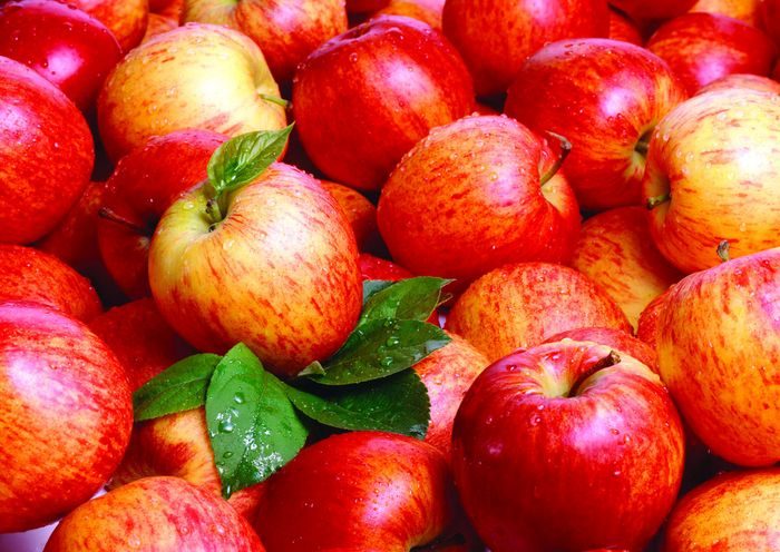 Полезные факты о яблоках