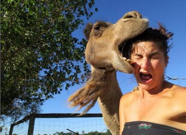 16 самых смешных фотографий с животными