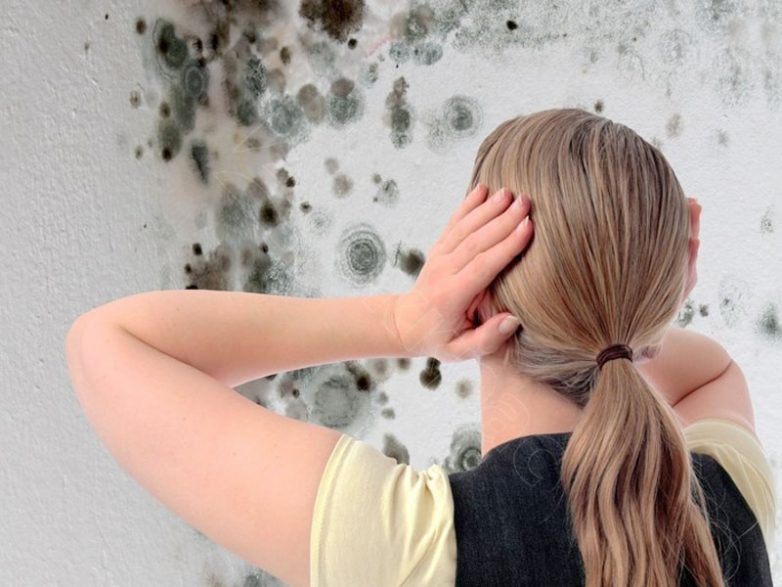 5 способов побороть плесень на стенах