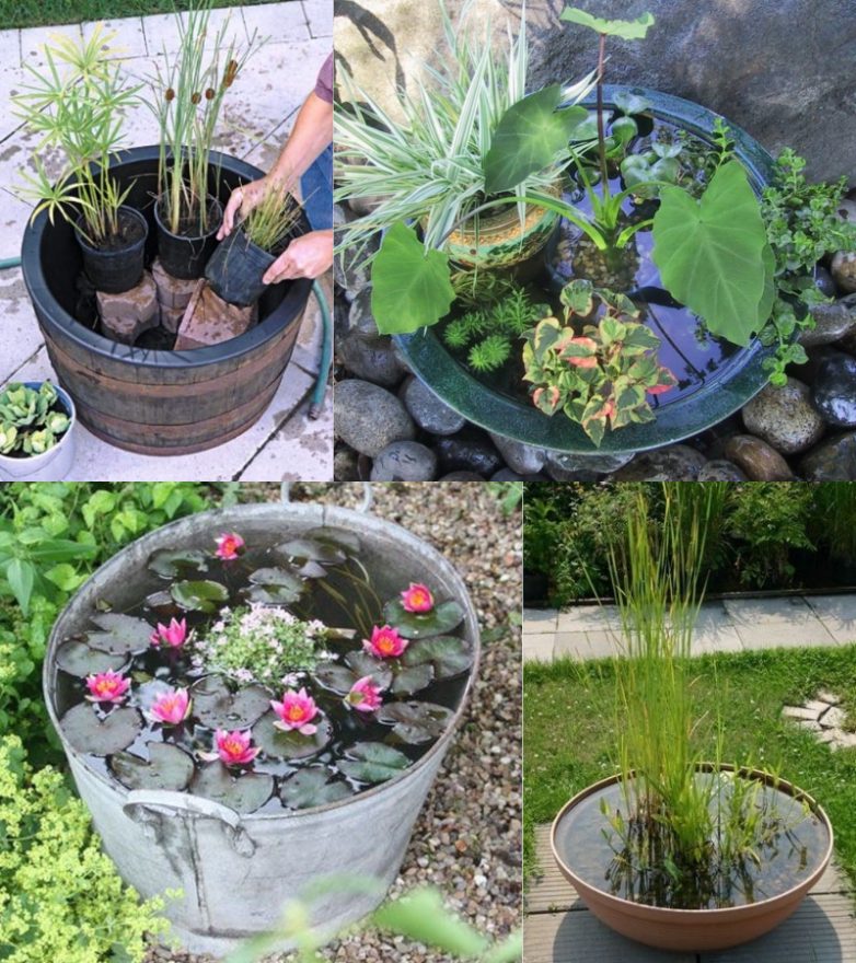 15 идей для украшения сада и дачного участка