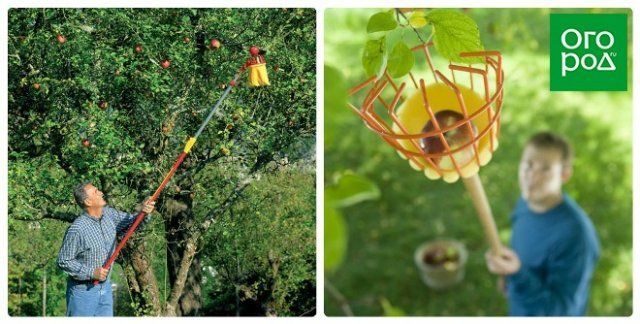 10 полезных изобретений для сада и огорода