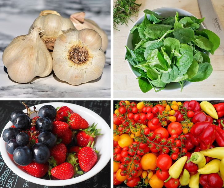 Советы, которые помогут сохранить фрукты и овощи свежими надолго