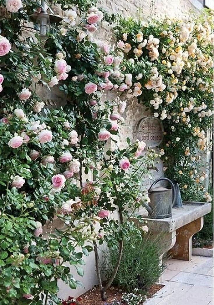 Шикарные цветочные идеи для сада и дачи