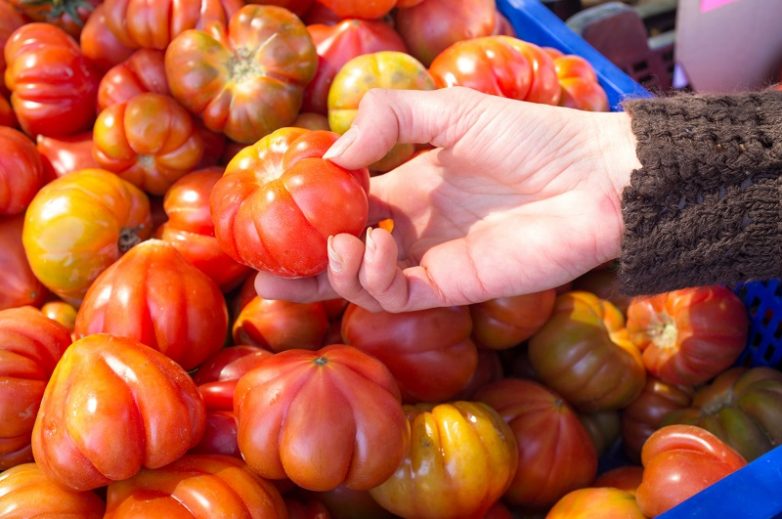 Как выбрать вкусные помидоры